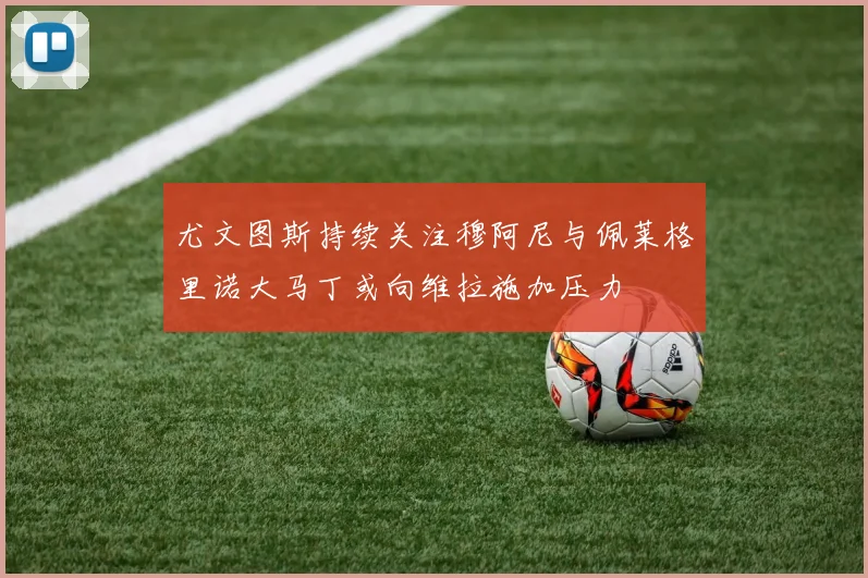 尤文图斯持续关注穆阿尼与佩莱格里诺大马丁或向维拉施加压力